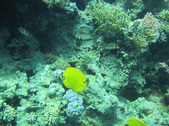 Enlarge photo 83