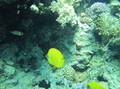 Enlarge photo 84