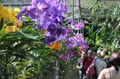 Enlarge photo 81