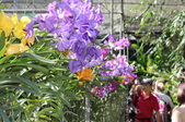 Enlarge photo 82