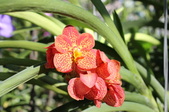 Enlarge photo 84
