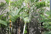 Enlarge photo 89