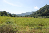 Enlarge photo 92