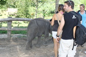 Enlarge photo 93