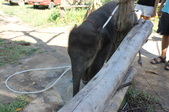 Enlarge photo 94