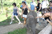 Enlarge photo 95