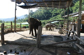 Enlarge photo 97