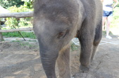 Enlarge photo 98