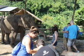Enlarge photo 100
