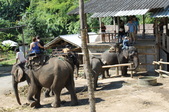 Enlarge photo 105