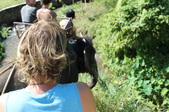 Enlarge photo 108