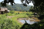 Enlarge photo 109