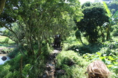 Enlarge photo 110