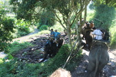 Enlarge photo 112