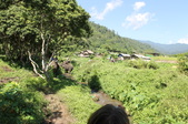 Enlarge photo 114