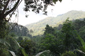 Enlarge photo 144