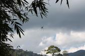 Enlarge photo 146