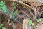Enlarge photo 148