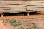 Enlarge photo 149