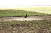 Enlarge photo 167