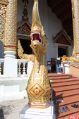Enlarge photo 171