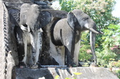 Enlarge photo 185
