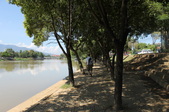 Enlarge photo 187