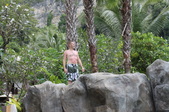 Enlarge photo 214
