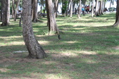 Enlarge photo 241