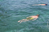 Enlarge photo 278