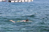 Enlarge photo 279