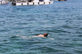 Enlarge photo 280