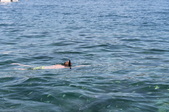 Enlarge photo 281