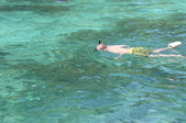 Enlarge photo 282