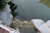 Enlarge photo 314