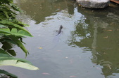 Enlarge photo 315