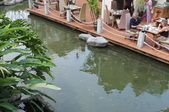 Enlarge photo 316