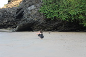 Enlarge photo 325