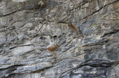 Enlarge photo 328