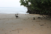 Enlarge photo 330