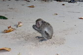 Enlarge photo 332