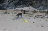 Enlarge photo 347