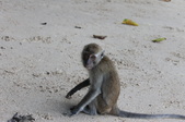 Enlarge photo 348
