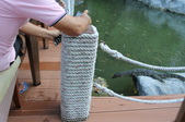 Enlarge photo 354