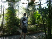 Enlarge photo 86