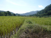 Enlarge photo 122