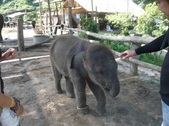 Enlarge photo 123