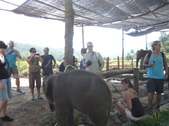 Enlarge photo 124