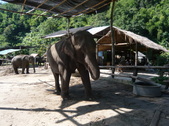 Enlarge photo 125