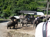 Enlarge photo 126